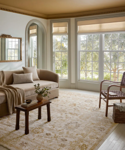 pace natural / gold area rug