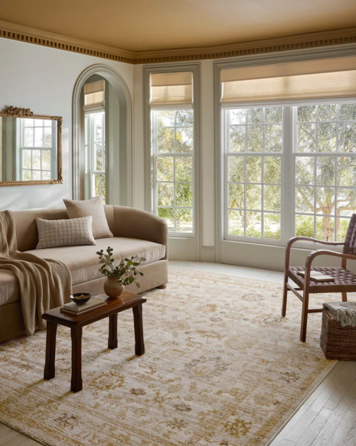 pace natural / gold area rug