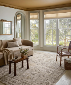 pace natural / stone area rug