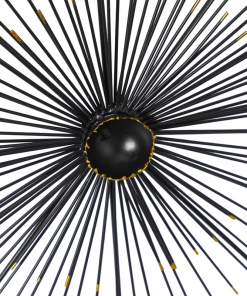 metal sea urchin starburst home wall decor with black frame