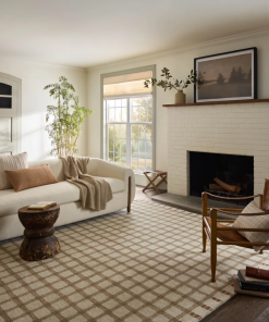 waylon natural / rust area rug