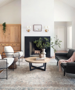 jules oriental natural/ocean area rug