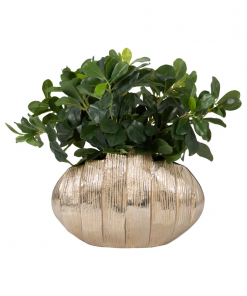 metal, pavia gold vase stylish vases collection